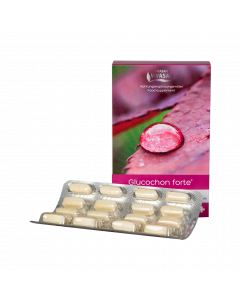 S13 - Glucohon 60 Tabletten. 